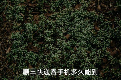 順豐快遞寄手機多久能到