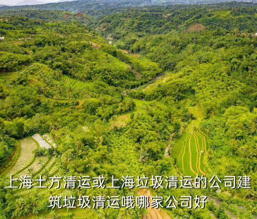 上海土方清運(yùn)或上海垃圾清運(yùn)的公司建筑垃圾清運(yùn)哦哪家公司好