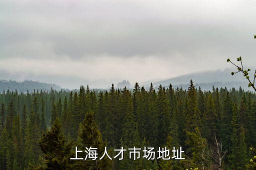 上海市人才中心商城路分中心，上海人才市場地址