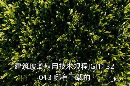 建筑玻璃應用技術規程JGJ1132013 哪有下載的