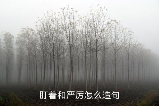 嚴厲造句，用嚴厲造句 要有以個豆號