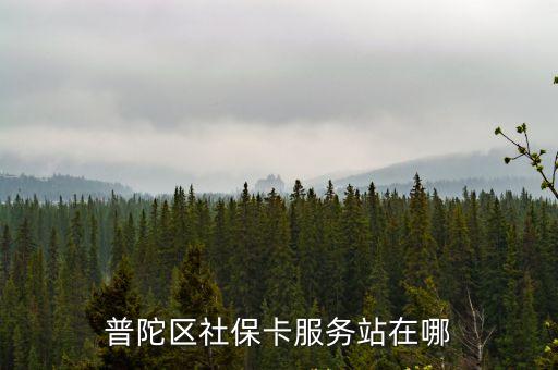 上海市普陀區社保卡服務中心，普陀區社保中心地址在哪