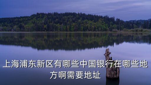 上海浦東新區有哪些中國銀行在哪些地方啊需要地址