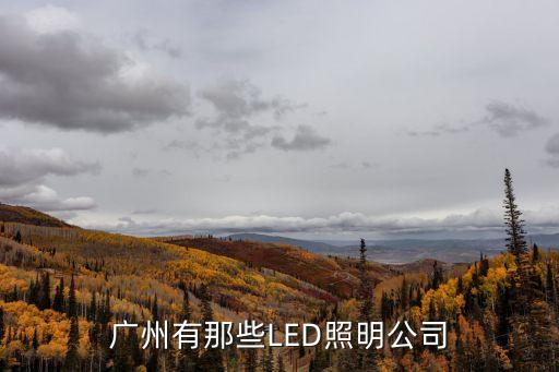 廣州有那些LED照明公司