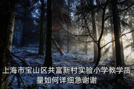 上海市共富實驗學校升學統計，上海虹口名辦高中的升學率是什么情況