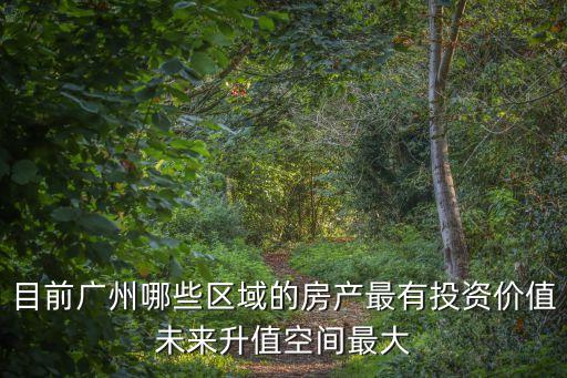 目前廣州哪些區域的房產最有投資價值未來升值空間最大