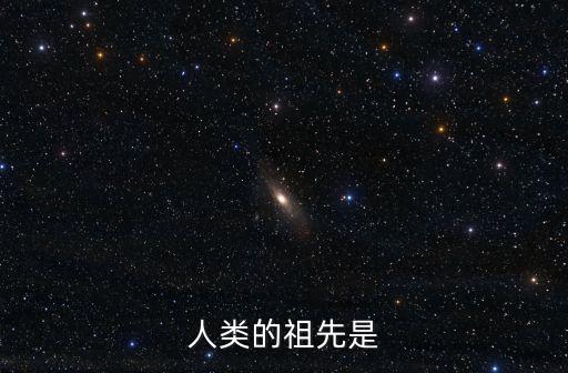 人類的祖先是什么，人類的祖先是什么