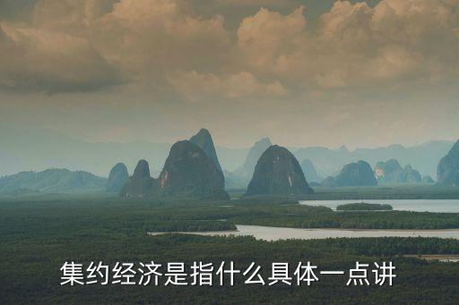 集約經濟是指什么具體一點講