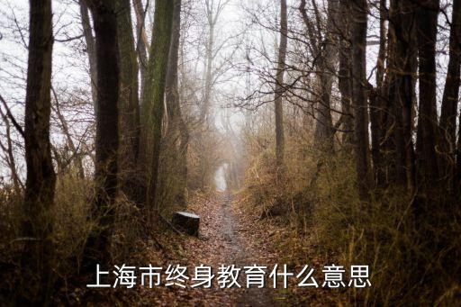 上海市終身教育什么意思