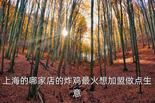 上海的哪家店的炸雞最火想加盟做點(diǎn)生意