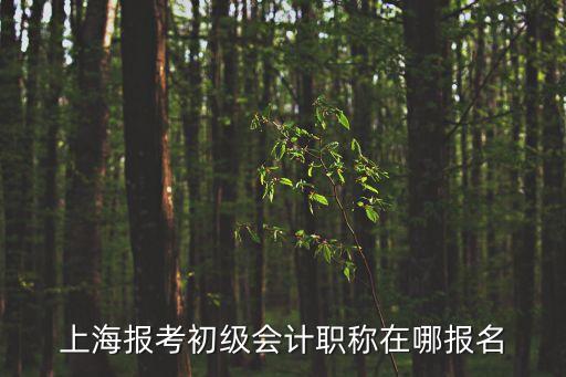 上海市財政局會計職稱，外地戶口可以在上海報考會計職稱嗎