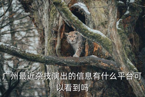 廣州最近雜技演出的信息有什么平臺可以看到嗎