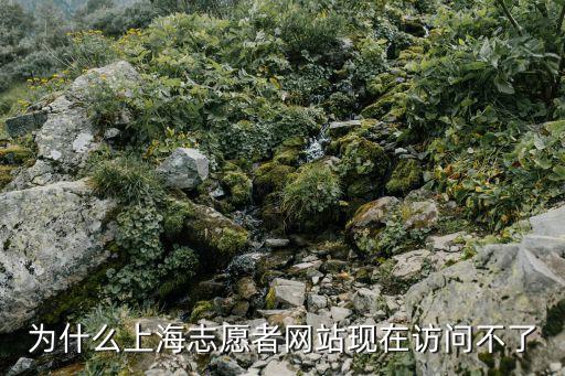 為什么上海志愿者網站現在訪問不了
