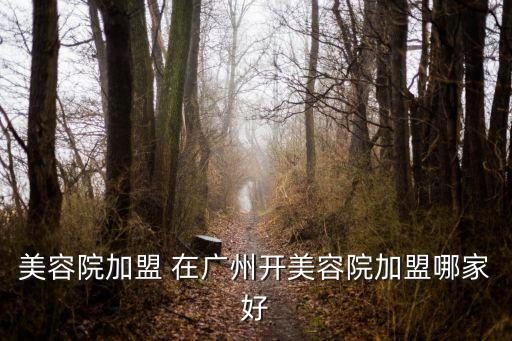 廣州祛斑祛痘祛痣加盟，美容院加盟 在廣州開美容院加盟哪家好