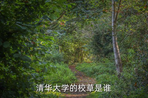 清華大學校草，清華大學的校草是誰