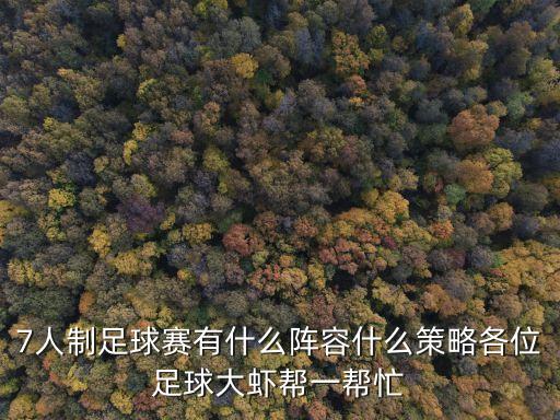 廣州2021七人制足球賽，南嶺鐵狼杯七人制足球賽的錄像