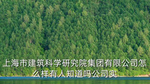 上海市建筑科學研究院集團有限公司怎么樣有人知道嗎公司實