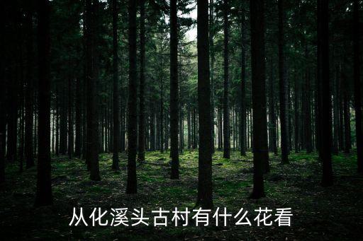從化溪頭古村有什么花看