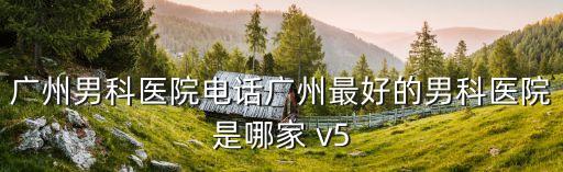 廣州男科醫(yī)院電話廣州最好的男科醫(yī)院是哪家 v5