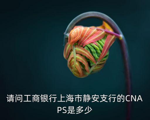 請問工商銀行上海市靜安支行的CNAPS是多少