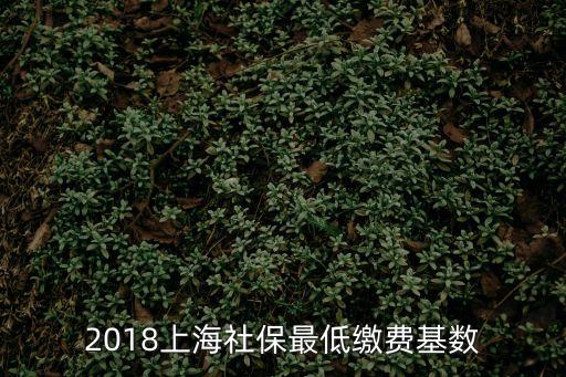 2018上海市社保繳費基數(shù)，2018年5月自由職業(yè)者上海市社保繳費最低標(biāo)準(zhǔn)是多少