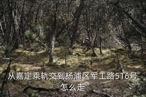 從嘉定乘軌交到楊浦區軍工路516號怎么走