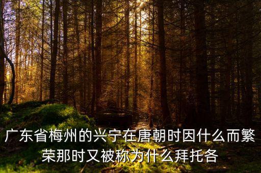廣東省梅州的興寧在唐朝時因什么而繁榮那時又被稱為什么拜托各