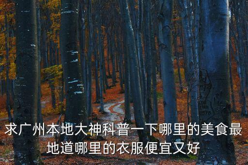 求廣州本地大神科普一下哪里的美食最地道哪里的衣服便宜又好