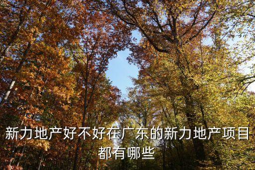 新力地產好不好在廣東的新力地產項目都有哪些