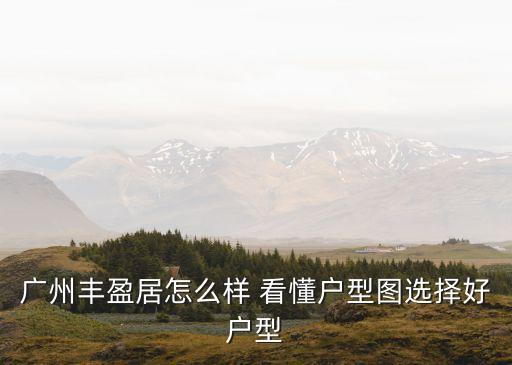 廣州樂韻居戶型圖，磚角樓南里樓盤都有什么戶型