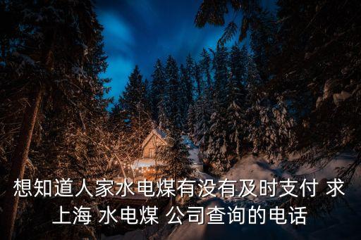 上海市水的查詢電話，想知道人家水電煤有沒有及時支付 求上海 水電煤 公司查詢的電話