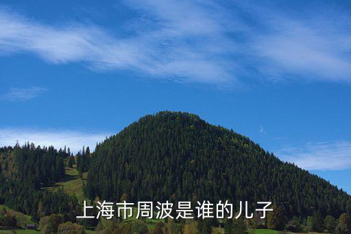 上海市周慧區長，現任上海市浦東新區區長還有副區長叫什么名字