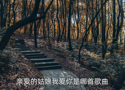 親愛的姑娘我愛你，親愛的姑娘我愛你是哪首歌曲