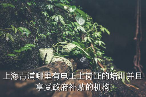 上海青浦哪里有電工上崗證的培訓并且享受政府補貼的機構