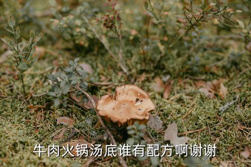牛肉湯底，牛肉湯配方