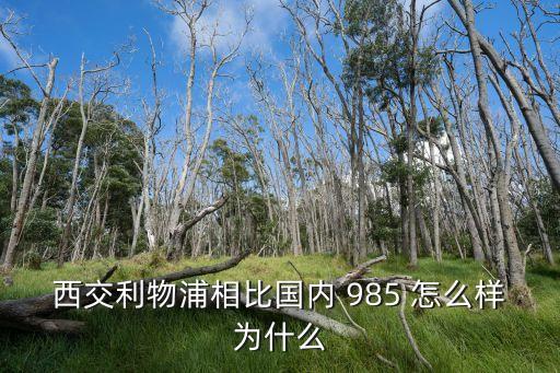 西交利物浦相比國內 985 怎么樣為什么