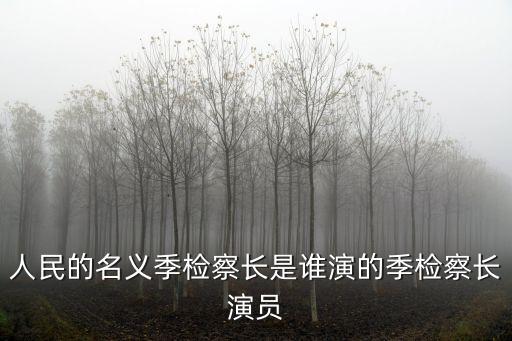 季檢察長，人民的名義季檢察長是誰演的季檢察長演員