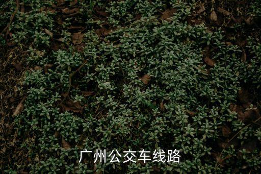 廣州公交車線路
