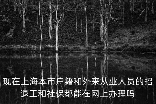 現在上海本市戶籍和外來從業人員的招退工和社保都能在網上辦理嗎