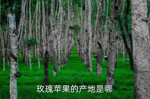 玫瑰蘋果的產地是哪