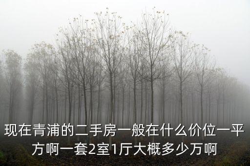 上海市青浦區(qū)二守房?jī)r(jià)，現(xiàn)在青浦的二手房一般在什么價(jià)位一平方啊一套2室1廳大概多少萬(wàn)啊