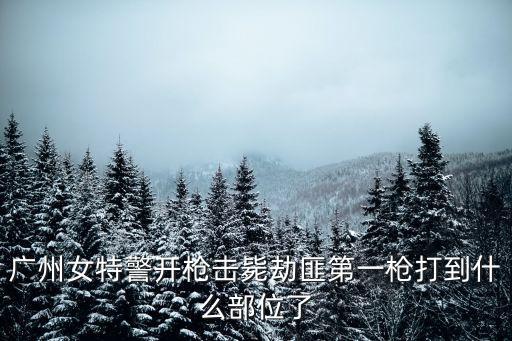 廣州人質(zhì)劫持女便衣，女便衣?lián)魯澜俪秩速|(zhì)男子一案中歹徒何人