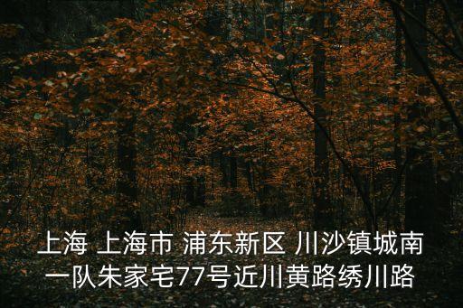 上海 上海市 浦東新區(qū) 川沙鎮(zhèn)城南一隊朱家宅77號近川黃路繡川路
