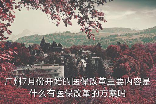 廣州7月份開始的醫保改革主要內容是什么有醫保改革的方案嗎