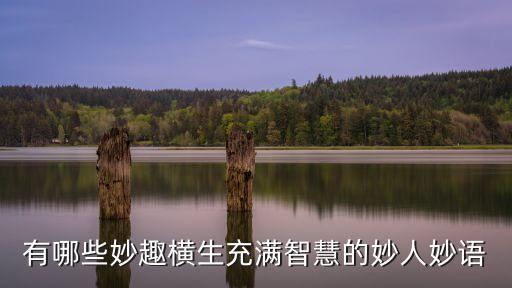 有哪些妙趣橫生充滿智慧的妙人妙語