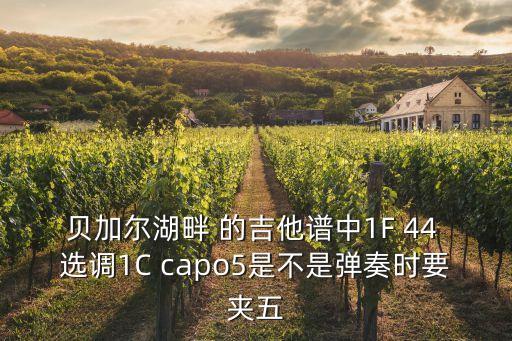 貝加爾湖畔吉他，貝加爾湖畔 的吉他譜中1F 44 選調1C capo5是不是彈奏時要夾五
