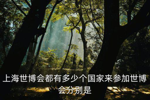 上海世博會都有多少個國家來參加世博會分別是