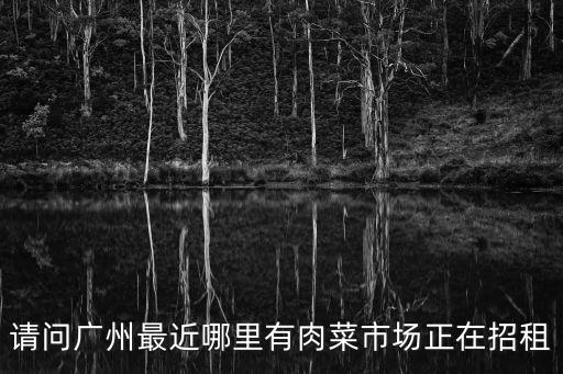廣州市荔灣區菜市場攤位招租，廣州荔灣區哪里有肉菜市場招租