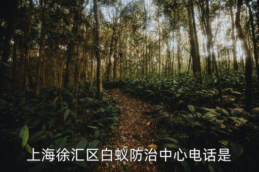 上海徐匯區白蟻防治中心電話是