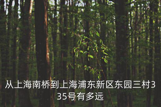 從上海南橋到上海浦東新區(qū)東園三村335號(hào)有多遠(yuǎn)
